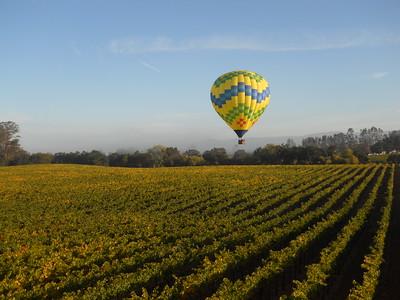 Hot air balloon flying over vineyards on a sunny day